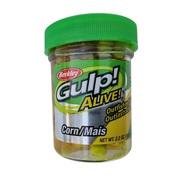 Perla Del Mare Nelle Coperture Aperte Una Grande Acqua Salata Nera E Dorata Imperla Nelle Coperture Con L Illustrazione Dell 87272968 - Foto 4